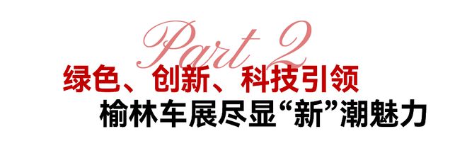 新地标 新会展 新榆林2024榆林国际汽车展览会盛大开幕！(图7)