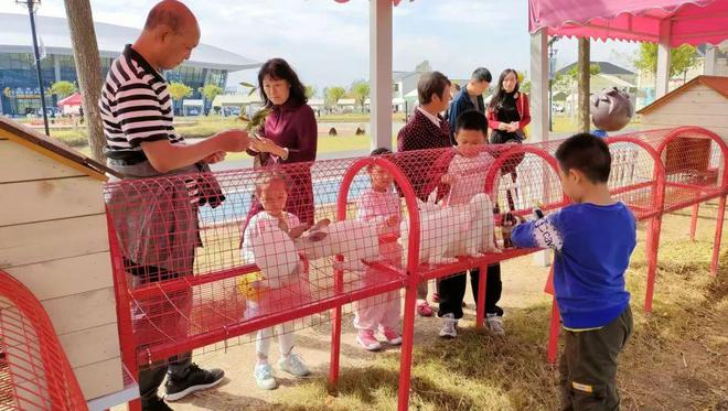 信阳申信集团各项目国庆期间火热运营献礼华诞！(图14)