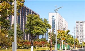 2024展示架行业市场机会与发展趋势(图2)