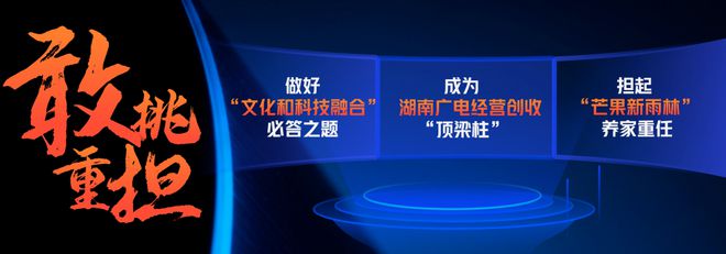 蔡怀军九图总结“芒果六平台的2024”（附演讲全文）(图16)