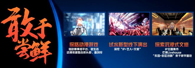 蔡怀军九图总结“芒果六平台的2024”（附演讲全文）(图18)