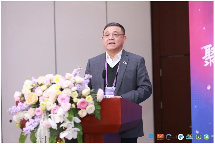 破局·聚势·共赢 中国商业店装与展陈行业全球化发展新生态主题论坛圆满举办(图1)