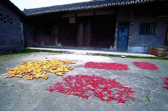 岱峻 四川：中国的避难所(图13)