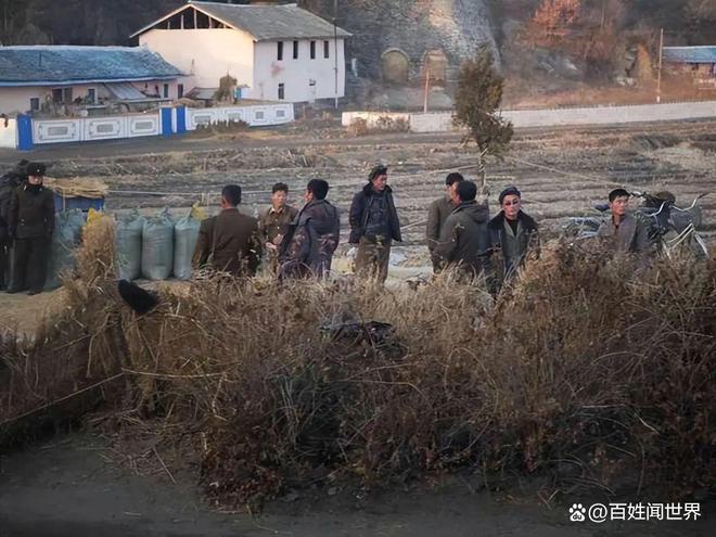 朝鲜阶级密码：查三代定终身的生存游戏为何士兵自杀前吞下党证(图4)