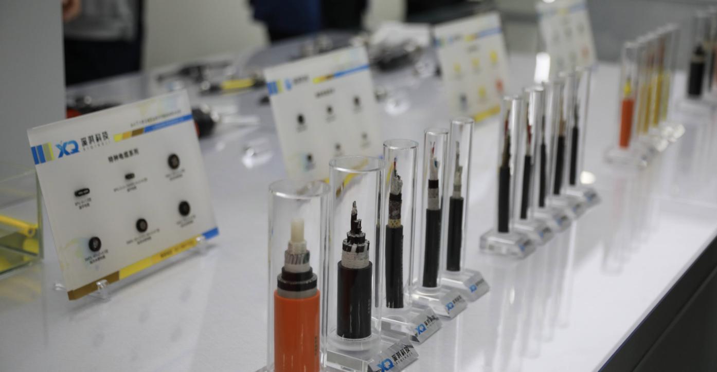 智匯廟行·企業力量丨溪淇科技王曉禹：政府護航企業發展堅定助力建設海洋強國決心(图2)