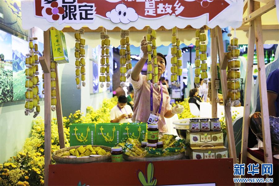 第9届南博会｜解锁“旅居云南”的N种“打开方式”(图2)