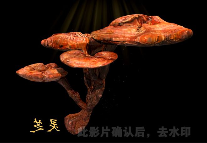 全息展示柜、幻影成像：中医药文化展厅建设的解决方案(图3)