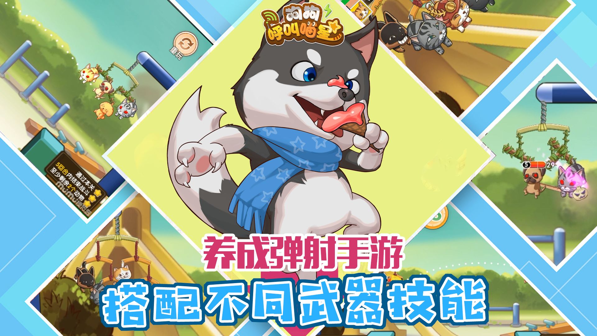狗狗呼叫喵星测试服(图1)