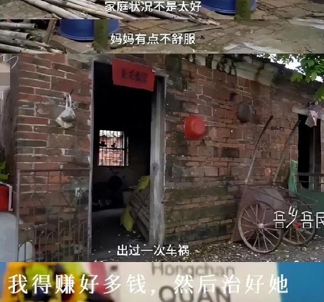 深扒陈芋汐家世才懂同样是跳水天才为何全红婵的商业价值更高(图7)