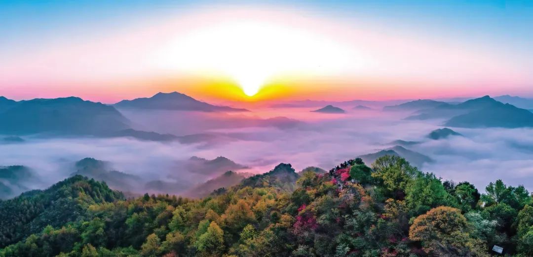 五一·乐游六安：行与思篇｜春游江淮 千姿百态(图1)