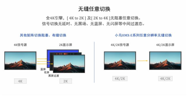 小鸟科技助力擘画四川烟草培训新图景(图3)