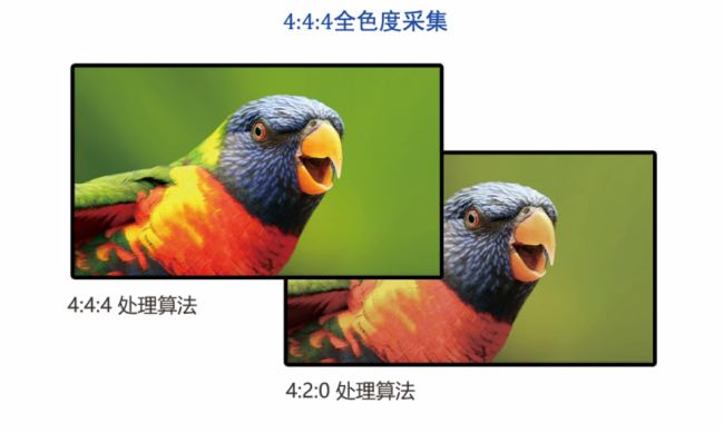 小鸟科技助力擘画四川烟草培训新图景(图2)