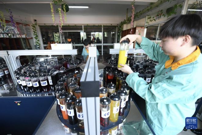 李婷：服装业的老板们是让财富流动的中坚群体(图6)