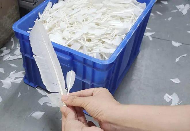 羽毛球价格疯涨安徽小城的百亿生意藏不住(图10)