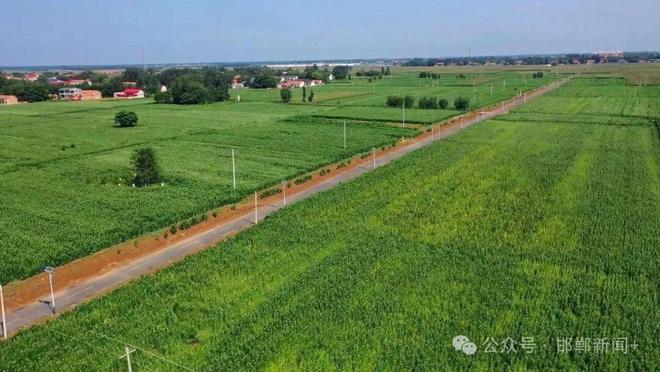 大名一品一播产业园区占地75亩29万方(图4)