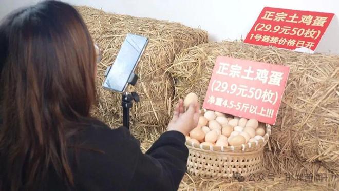 大名一品一播产业园区占地75亩29万方(图22)